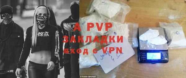 стафф Арсеньев