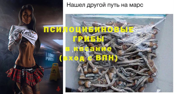 дживик Аркадак