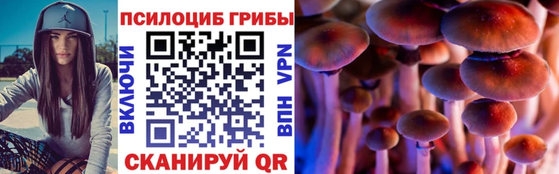 Псилоцибиновые грибы GOLDEN TEACHER  Северобайкальск 